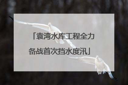 袁湾水库工程全力备战首次挡水度汛