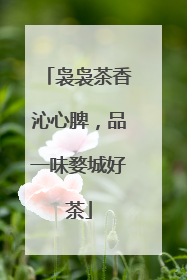袅袅茶香沁心脾，品一味婺城好茶