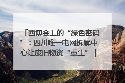 西博会上的“绿色密码”：四川唯一电网拆解中心让废旧物资“重生”｜西博寻“新”记