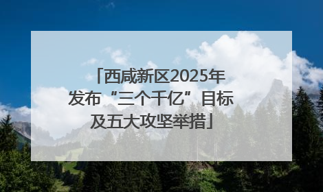 西咸新区2025年发布“三个千亿”目标及五大攻坚举措