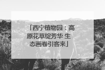 西宁植物园：高原花草绽芳华 生态画卷引客来