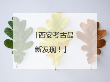 西安考古最新发现！