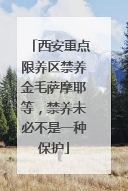 西安重点限养区禁养金毛萨摩耶等，禁养未必不是一种保护