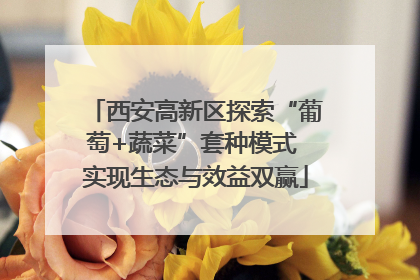 西安高新区探索“葡萄+蔬菜”套种模式 实现生态与效益双赢