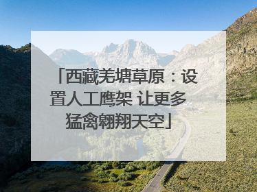 西藏羌塘草原：设置人工鹰架 让更多猛禽翱翔天空