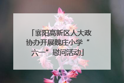 襄阳高新区人大政协办开展魏庄小学“六一”慰问活动