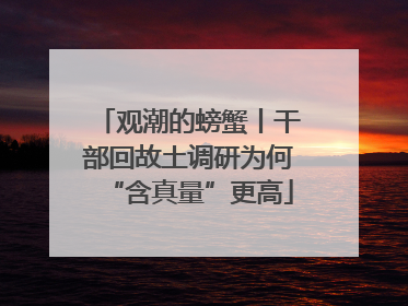 观潮的螃蟹丨干部回故土调研为何“含真量”更高