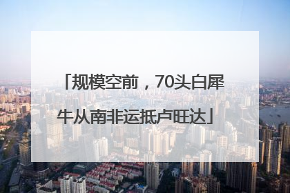规模空前，70头白犀牛从南非运抵卢旺达