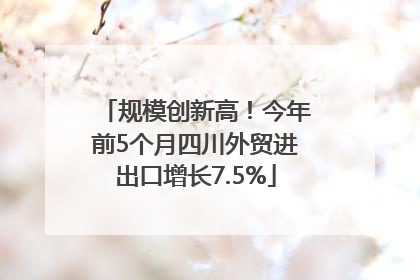 规模创新高！今年前5个月四川外贸进出口增长7.5%