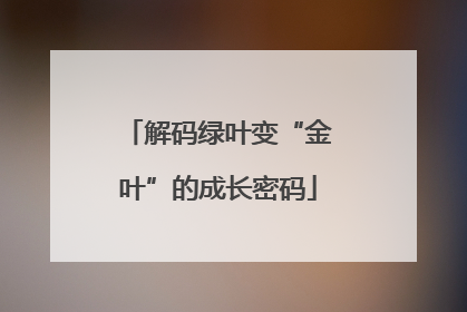 解码绿叶变“金叶”的成长密码