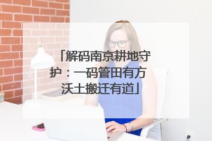 解码南京耕地守护：一码管田有方 沃土搬迁有道