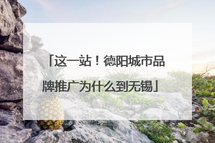 这一站！德阳城市品牌推广为什么到无锡
