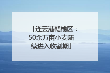 连云港赣榆区：50余万亩小麦陆续进入收割期