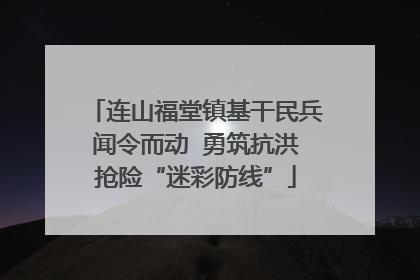 连山福堂镇基干民兵闻令而动  勇筑抗洪抢险“迷彩防线”