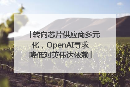 转向芯片供应商多元化，OpenAI寻求降低对英伟达依赖