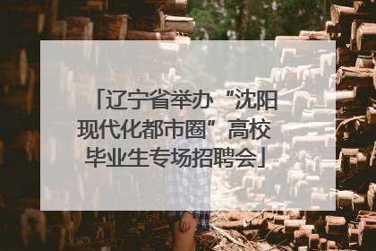 辽宁省举办“沈阳现代化都市圈”高校毕业生专场招聘会