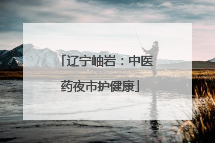 辽宁岫岩：中医药夜市护健康