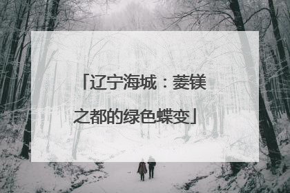 辽宁海城：菱镁之都的绿色蝶变