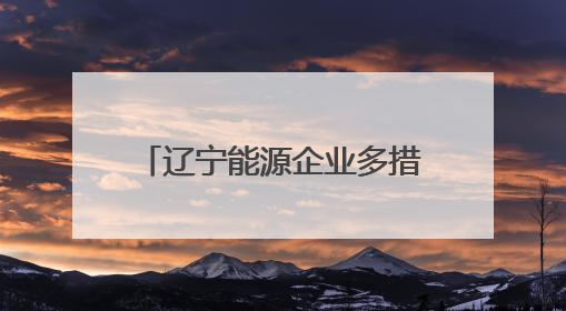 辽宁能源企业多措并举备战迎峰度夏