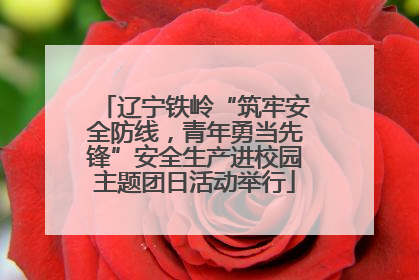 辽宁铁岭“筑牢安全防线，青年勇当先锋”安全生产进校园主题团日活动举行