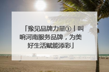 豫见品牌力量③丨叫响河南服务品牌，为美好生活赋能添彩