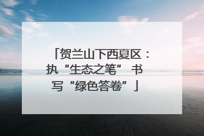 贺兰山下西夏区：执“生态之笔” 书写“绿色答卷”