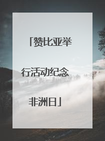 赞比亚举行活动纪念非洲日