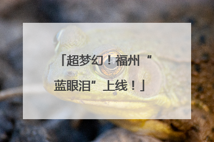超梦幻！福州“蓝眼泪”上线！