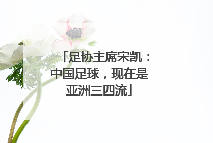 足协主席宋凯：中国足球，现在是亚洲三四流