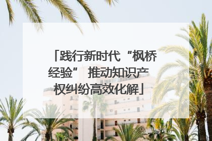 践行新时代“枫桥经验” 推动知识产权纠纷高效化解