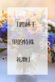 跨越千里的特殊礼物