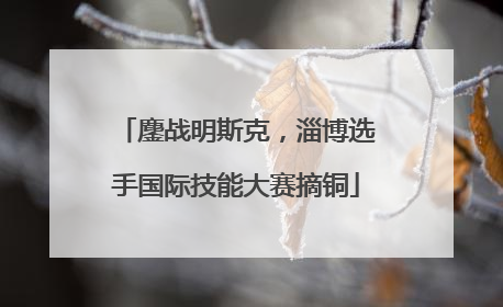 鏖战明斯克，淄博选手国际技能大赛摘铜
