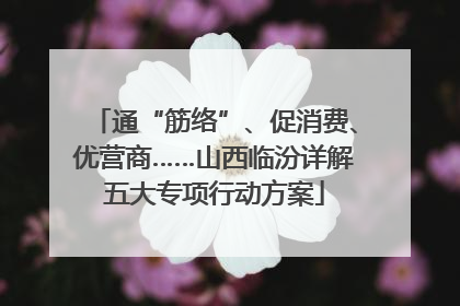 通“筋络”、促消费、优营商……山西临汾详解五大专项行动方案