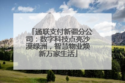 通联支付新疆分公司：数字科技点亮沙漠绿洲，智慧物业焕新万家生活