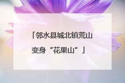 邻水县城北镇荒山变身“花果山”
