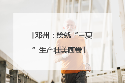 邓州：绘就“三夏”生产壮美画卷