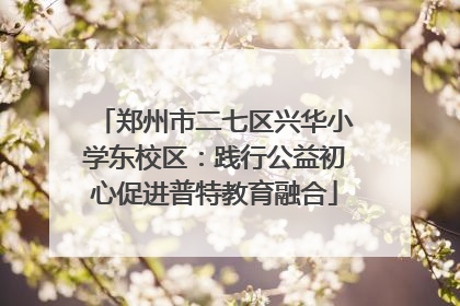 郑州市二七区兴华小学东校区：践行公益初心促进普特教育融合