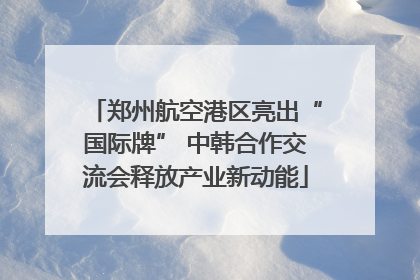 郑州航空港区亮出“国际牌” 中韩合作交流会释放产业新动能
