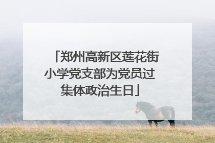 郑州高新区莲花街小学党支部为党员过集体政治生日