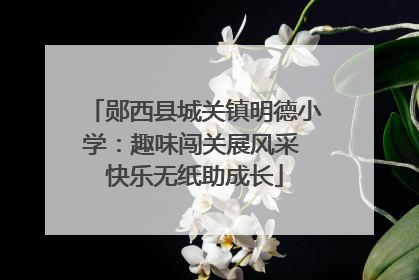 郧西县城关镇明德小学：趣味闯关展风采 快乐无纸助成长