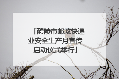 醴陵市邮政快递业安全生产月宣传启动仪式举行