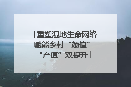 重塑湿地生命网络 赋能乡村“颜值”“产值”双提升