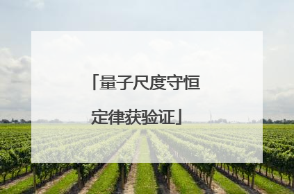 量子尺度守恒定律获验证