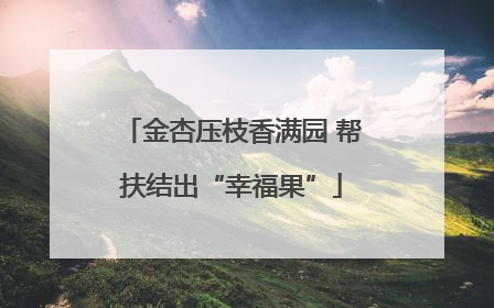 金杏压枝香满园 帮扶结出“幸福果”