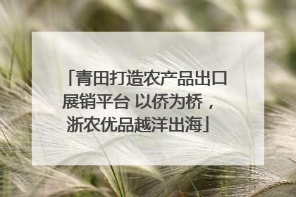 青田打造农产品出口展销平台 以侨为桥，浙农优品越洋出海