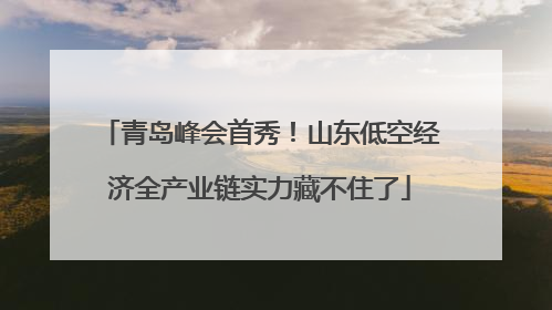 青岛峰会首秀！山东低空经济全产业链实力藏不住了
