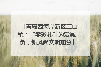 青岛西海岸新区宝山镇：“零彩礼”为爱减负，新风尚文明加分
