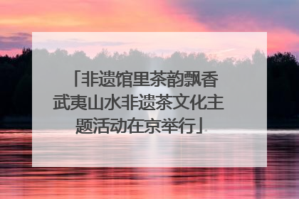 非遗馆里茶韵飘香 武夷山水非遗茶文化主题活动在京举行