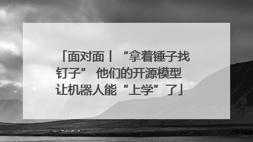 面对面丨“拿着锤子找钉子” 他们的开源模型让机器人能“上学”了