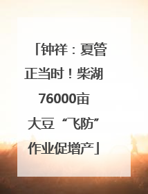 钟祥：夏管正当时！柴湖76000亩大豆“飞防”作业促增产